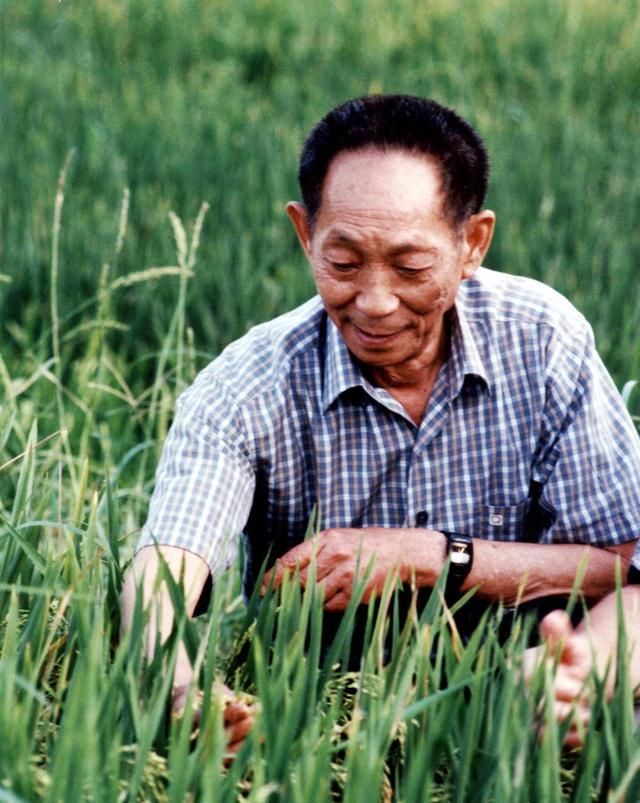 杂交水稻之父——袁隆平