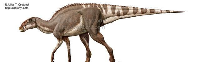1500万年前有恐龙吗图2