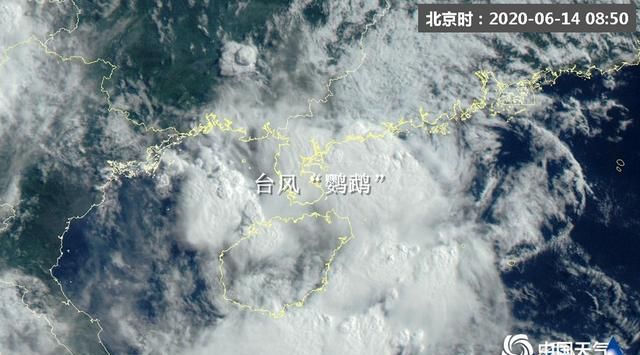 台风“鹦鹉”登陆广东阳江，专家称这是一个“好台风”为什么图1