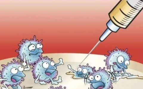 北京生物和北京科兴的新冠疫苗有什么区别吗