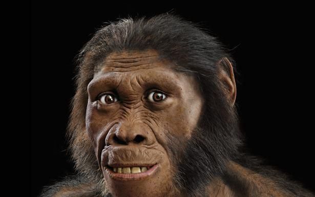 人类祖先，人类最早的祖先是什么虫图6