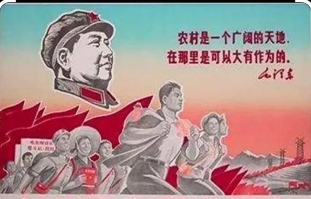 知青返城，什么是知青为什么要插队进农村图7