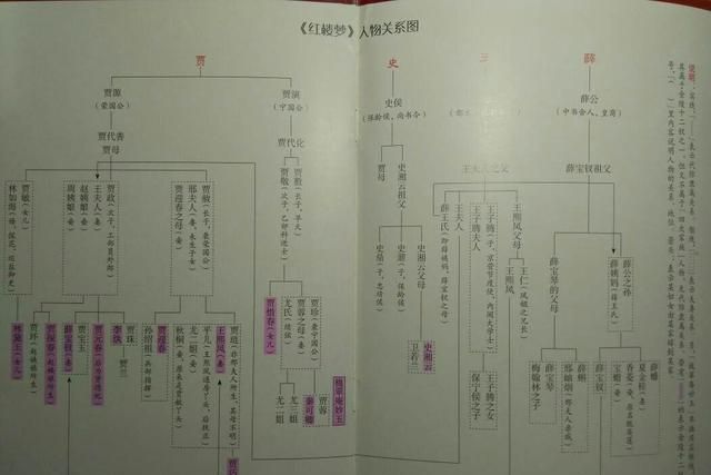 红楼梦谁才是林黛玉真正的靠山(红楼梦林黛玉最后怎么样)图9