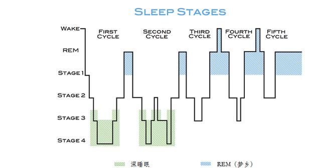 午睡多长时间是最合适的图4