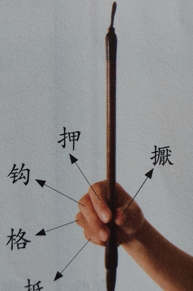 正确的握笔姿势是什么样的(正确钢笔握笔姿势图片)图3