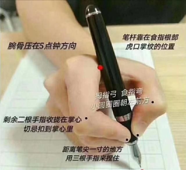正确的握笔姿势是什么样的(正确钢笔握笔姿势图片)图4
