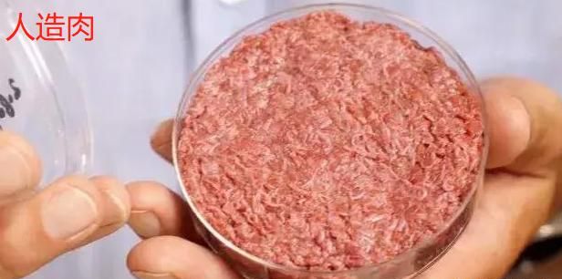 中国首款“人造肉”将在9月份上市，你会去吃吗图4