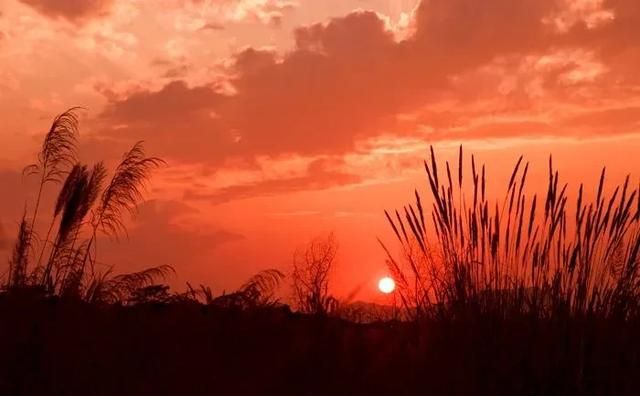 除夕和大年初一有哪些禁忌(除夕夜和初一最忌讳什么)图5