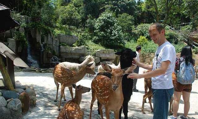 信阳宜居吗,信阳宜居城市图1