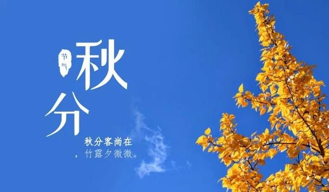 你了解秋分这个节气吗英语(秋分节气儿歌律动完整)图9