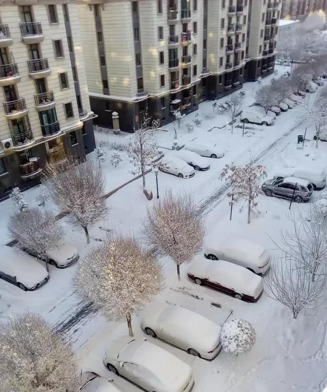 雪后的新疆有多美图14