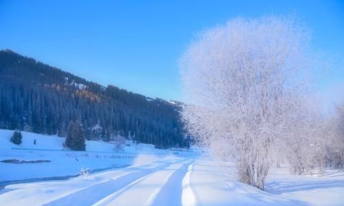 雪后的新疆有多美图16