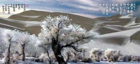 雪后的新疆有多美图19