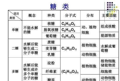 请问朋友们,向日葵为什么会围着太阳转呢图5