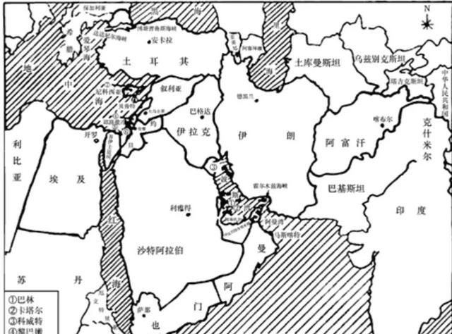 巴希尔案的国际刑事法院豁免规则图5