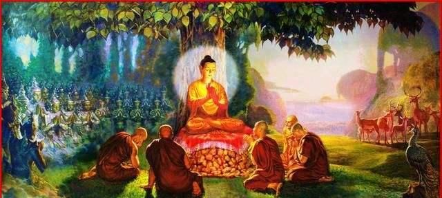 佛教起源印度为什么印度人不信佛图6