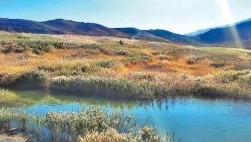 新疆白鸟湖湿地值得一去吗,白鸟湖湿地值得一去吗图3