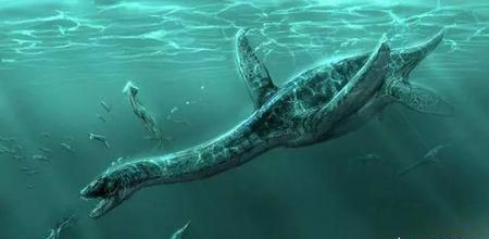1000万年前的史前动物除了恐龙,都还有哪些动物图1