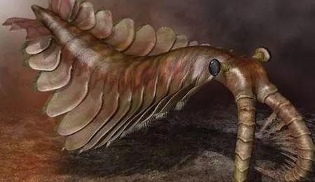 1000万年前的史前动物除了恐龙,都还有哪些动物图5