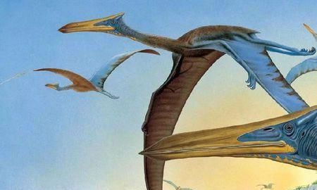 1000万年前的史前动物除了恐龙,都还有哪些动物图7