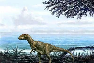 1000万年前的史前动物除了恐龙,都还有哪些动物图8
