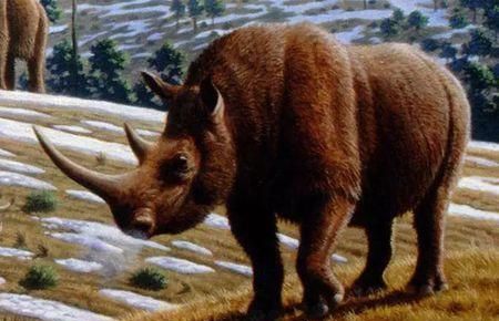 1000万年前的史前动物除了恐龙,都还有哪些动物图10