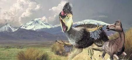 1000万年前的史前动物除了恐龙,都还有哪些动物图12