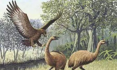1000万年前的史前动物除了恐龙,都还有哪些动物图14