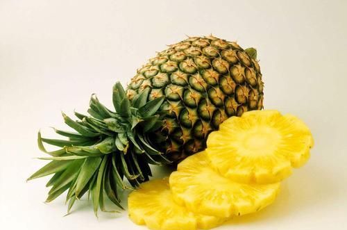 菠萝和菠萝蜜有什么不同,菠萝和菠萝蜜有区别么图1