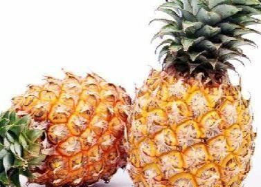 菠萝和菠萝蜜有什么不同,菠萝和菠萝蜜有区别么图5