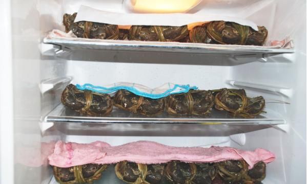 螃蟹蒸完放冰箱里可以放多久图8
