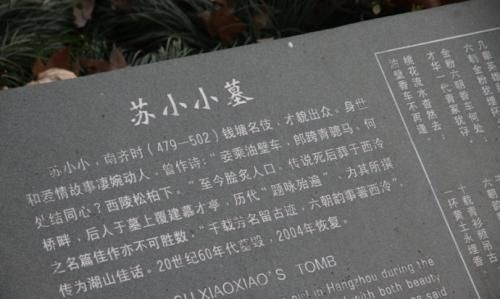 杭州西湖有苏小小的墓吗图6
