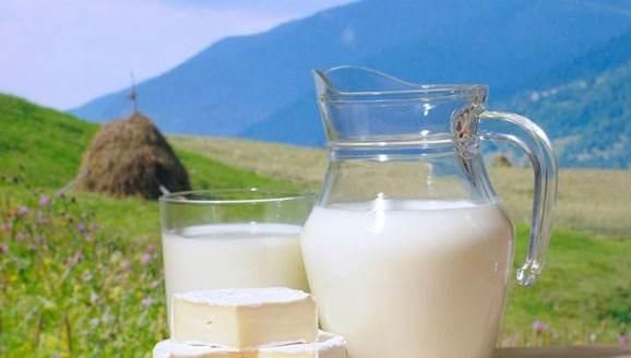 奶粉中含有生牛乳和脱脂乳粉,奶粉配方生牛乳和脱脂乳粉哪个好图1