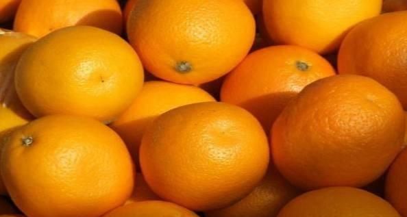 橙子怎么分公母图3