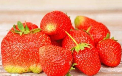 草莓怎样清洗才能吃