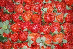 吃草莓有什么好处和作用吗,吃草莓好处图1