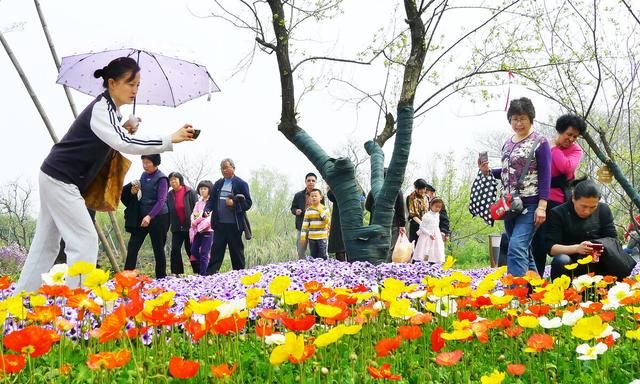 花朝节有哪些习俗图4