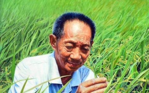 小麦专家李立科,水稻专家袁隆平哪个厉害一点