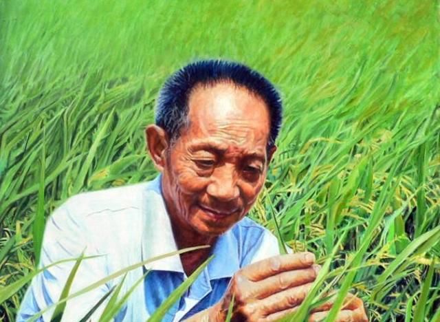 小麦专家李立科,水稻专家袁隆平哪个厉害一点图1
