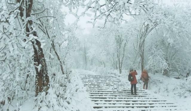 河南迎来了2018年第一场雪,你的城市下雪了吗图3