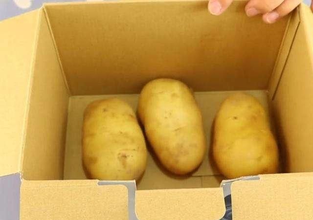 土豆收获后怎样贮藏才能存放长久呢图12