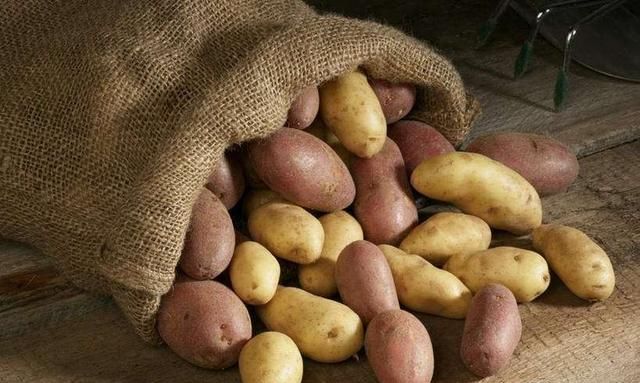 土豆收获后怎样贮藏才能存放长久呢图13