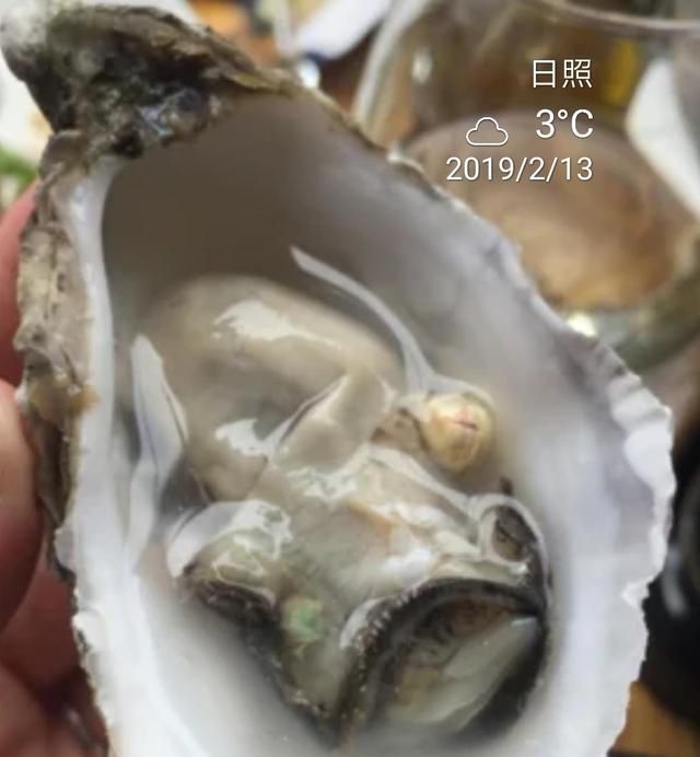 牡蛎怎么做,牡蛎怎么做好吃又简单蒸多长时间图13