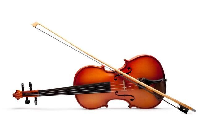 成年初学者学小提琴,应该购买什么价位的琴图2