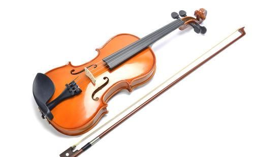 成年初学者学小提琴,应该购买什么价位的琴图3