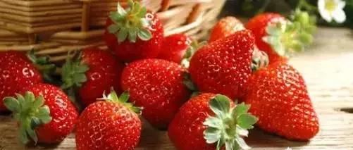 山东省哪个地方是草莓最大产区呢图3