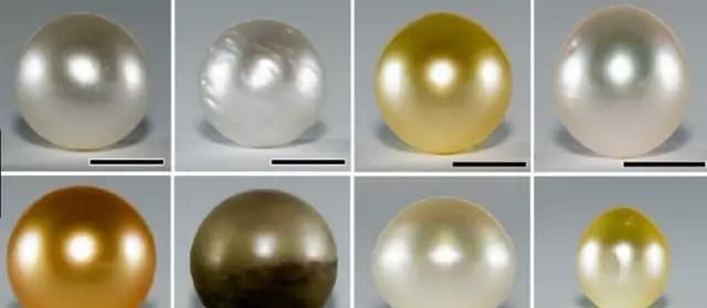 珍珠的成分是碳酸钙为什么能美白图2