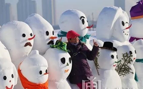 哈尔滨有很多雪人的地方在哪儿啊