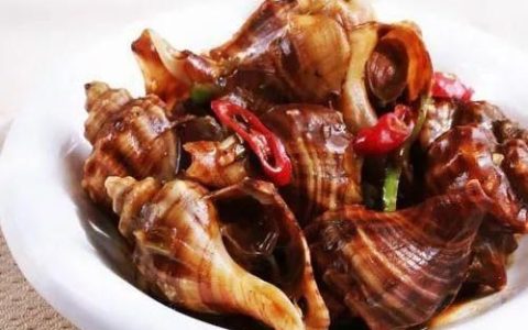 大海螺怎么煮好吃