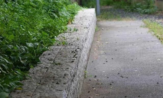 汶川地震发生前有预兆吗图2